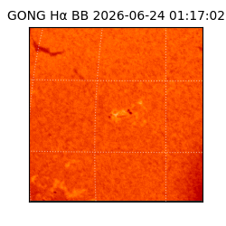 gong - 2026-06-24T01:17:02