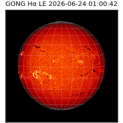gong - 2026-06-24T01:00:42