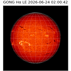 gong - 2026-06-24T02:00:42