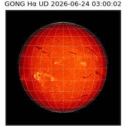gong - 2026-06-24T03:00:02
