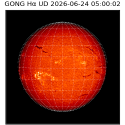 gong - 2026-06-24T05:00:02