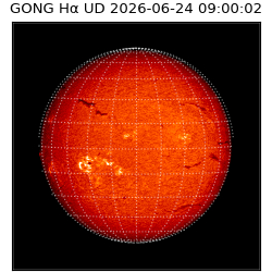 gong - 2026-06-24T09:00:02