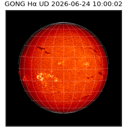 gong - 2026-06-24T10:00:02