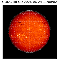 gong - 2026-06-24T11:00:02