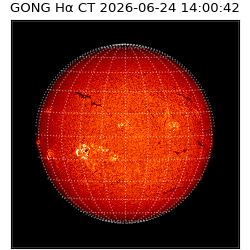 gong - 2026-06-24T14:00:42