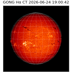 gong - 2026-06-24T19:00:42