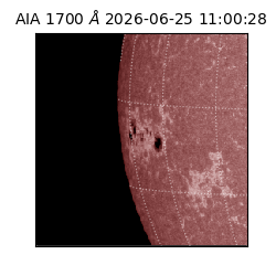 saia - 2026-06-25T11:00:28.717000