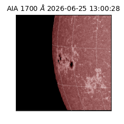 saia - 2026-06-25T13:00:28.716000