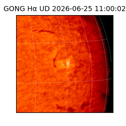 gong - 2026-06-25T11:00:02
