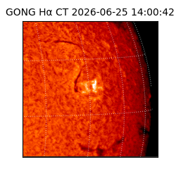 gong - 2026-06-25T14:00:42