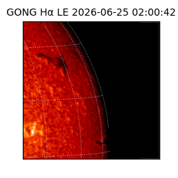 gong - 2026-06-25T02:00:42