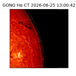 gong - 2026-06-25T13:00:42