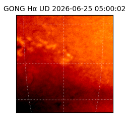 gong - 2026-06-25T05:00:02