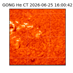 gong - 2026-06-25T16:00:42