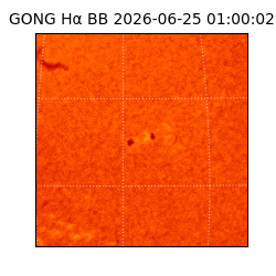 gong - 2026-06-25T01:00:02