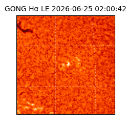 gong - 2026-06-25T02:00:42