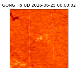 gong - 2026-06-25T06:00:02