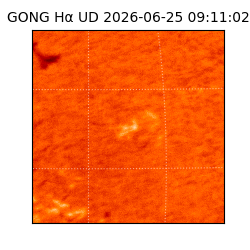 gong - 2026-06-25T09:11:02