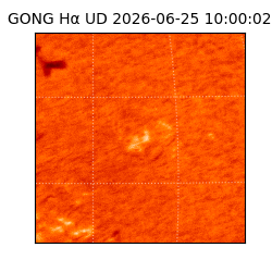gong - 2026-06-25T10:00:02