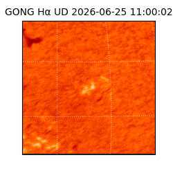 gong - 2026-06-25T11:00:02
