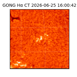 gong - 2026-06-25T16:00:42