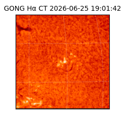 gong - 2026-06-25T19:01:42