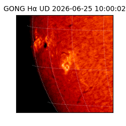 gong - 2026-06-25T10:00:02