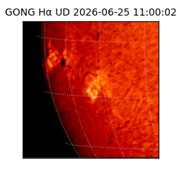 gong - 2026-06-25T11:00:02
