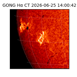 gong - 2026-06-25T14:00:42