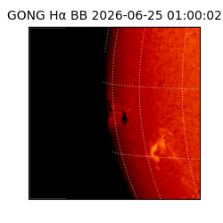 gong - 2026-06-25T01:00:02