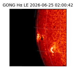 gong - 2026-06-25T02:00:42