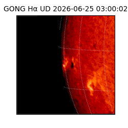 gong - 2026-06-25T03:00:02