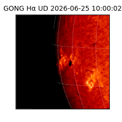 gong - 2026-06-25T10:00:02