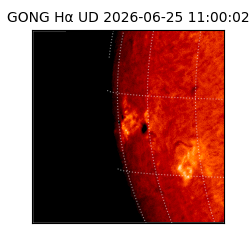 gong - 2026-06-25T11:00:02