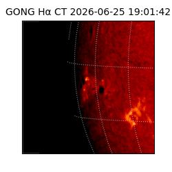 gong - 2026-06-25T19:01:42