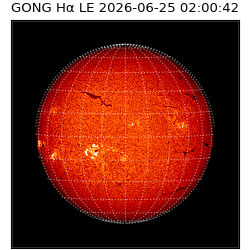 gong - 2026-06-25T02:00:42