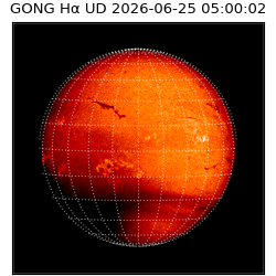gong - 2026-06-25T05:00:02