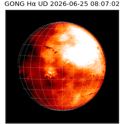 gong - 2026-06-25T08:07:02