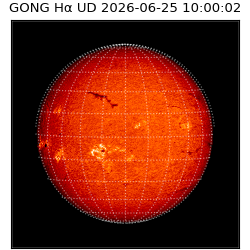 gong - 2026-06-25T10:00:02