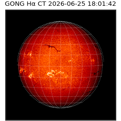 gong - 2026-06-25T18:01:42