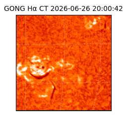 gong - 2026-06-26T20:00:42