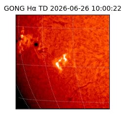 gong - 2026-06-26T10:00:22