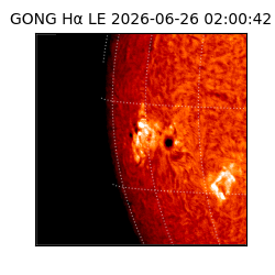 gong - 2026-06-26T02:00:42