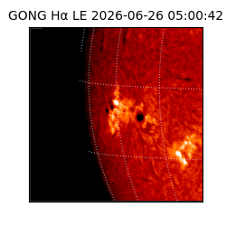 gong - 2026-06-26T05:00:42
