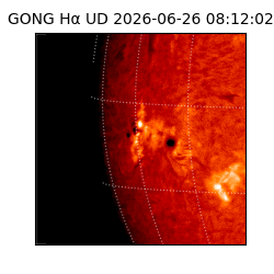 gong - 2026-06-26T08:12:02