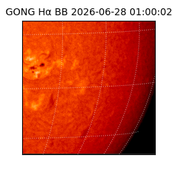 gong - 2026-06-28T01:00:02