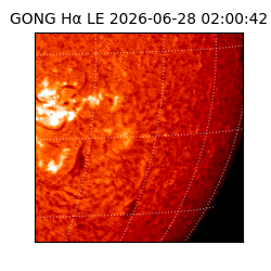 gong - 2026-06-28T02:00:42