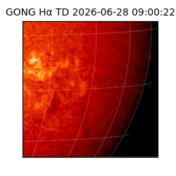 gong - 2026-06-28T09:00:22