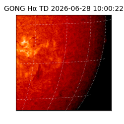 gong - 2026-06-28T10:00:22