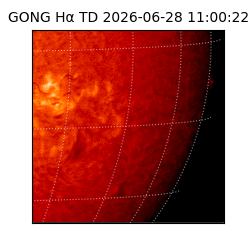 gong - 2026-06-28T11:00:22